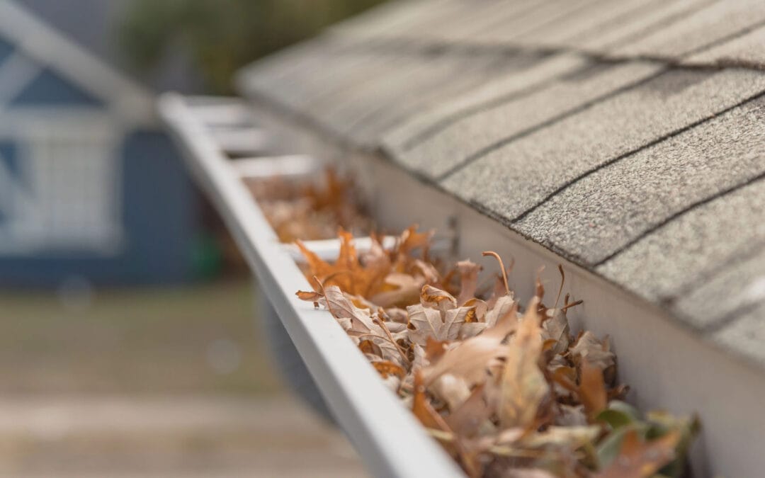 Top 10 Common Home Repairs in Hull & How to Fix Them